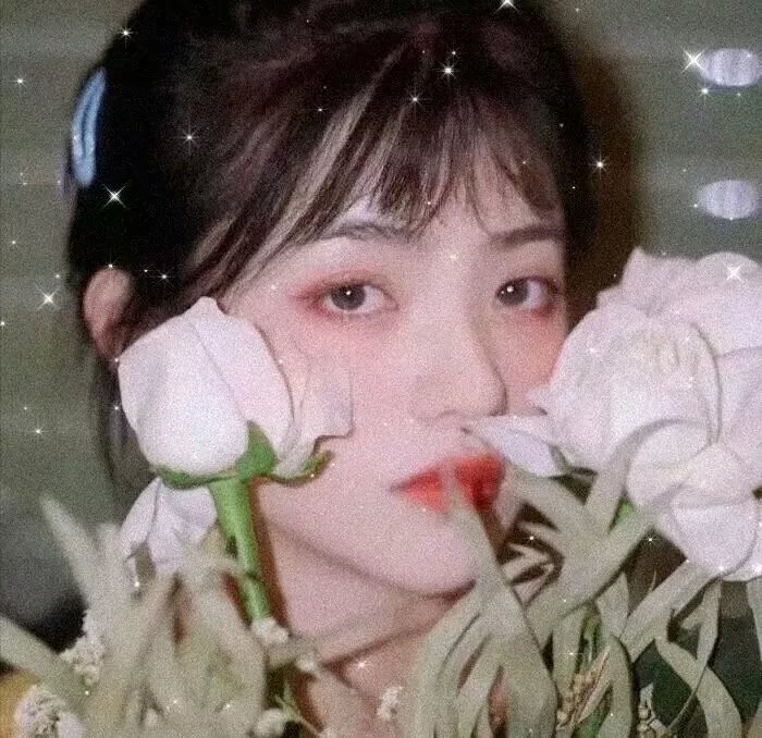 倩狐之妖乱青华 在线观看